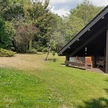 Ferienhaus Province Oberemmel 外观 照片