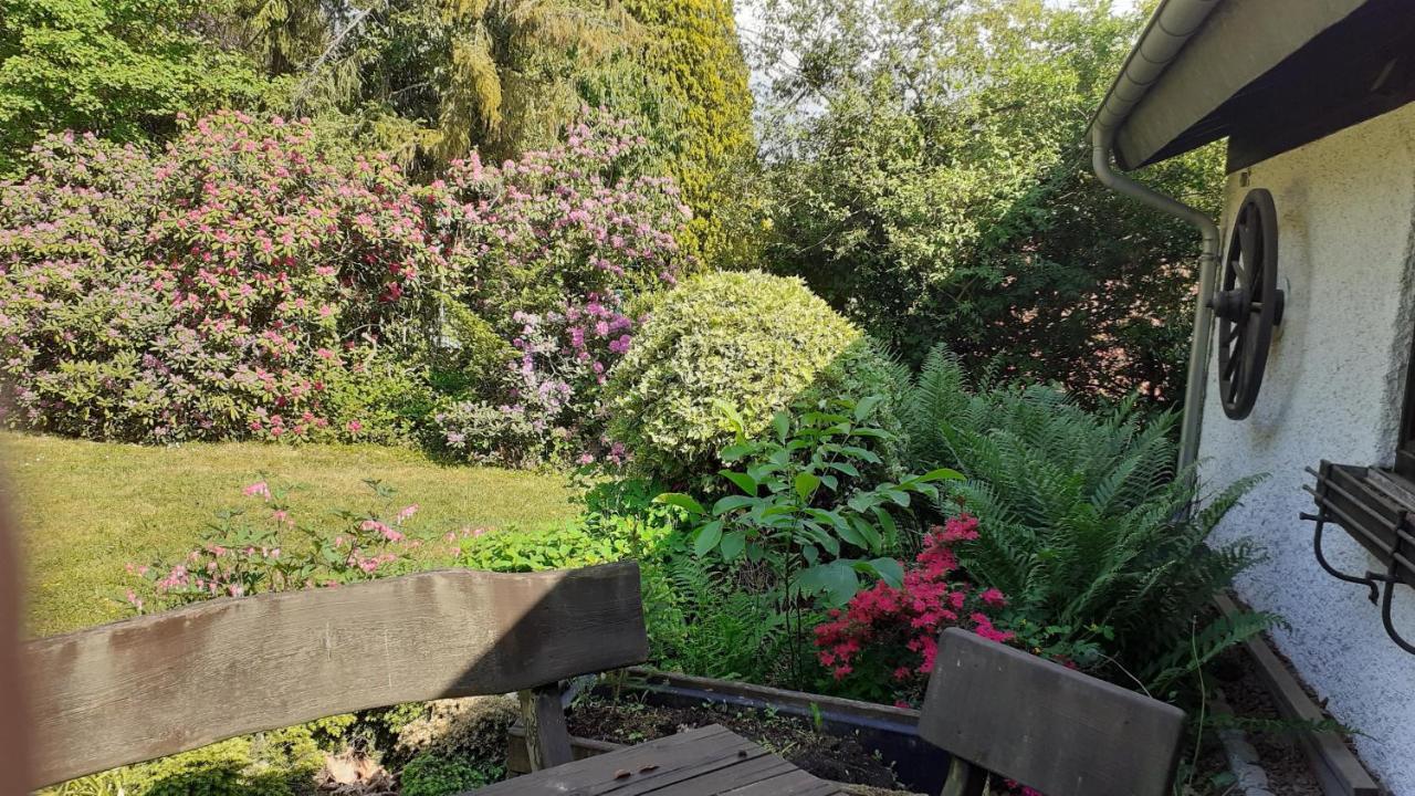 Ferienhaus Province Oberemmel 外观 照片